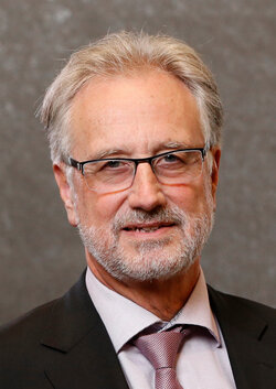 Prof. Dr. med. Rolf-Detlef Treede